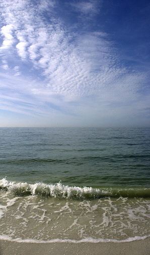 stockbeach50.jpg
